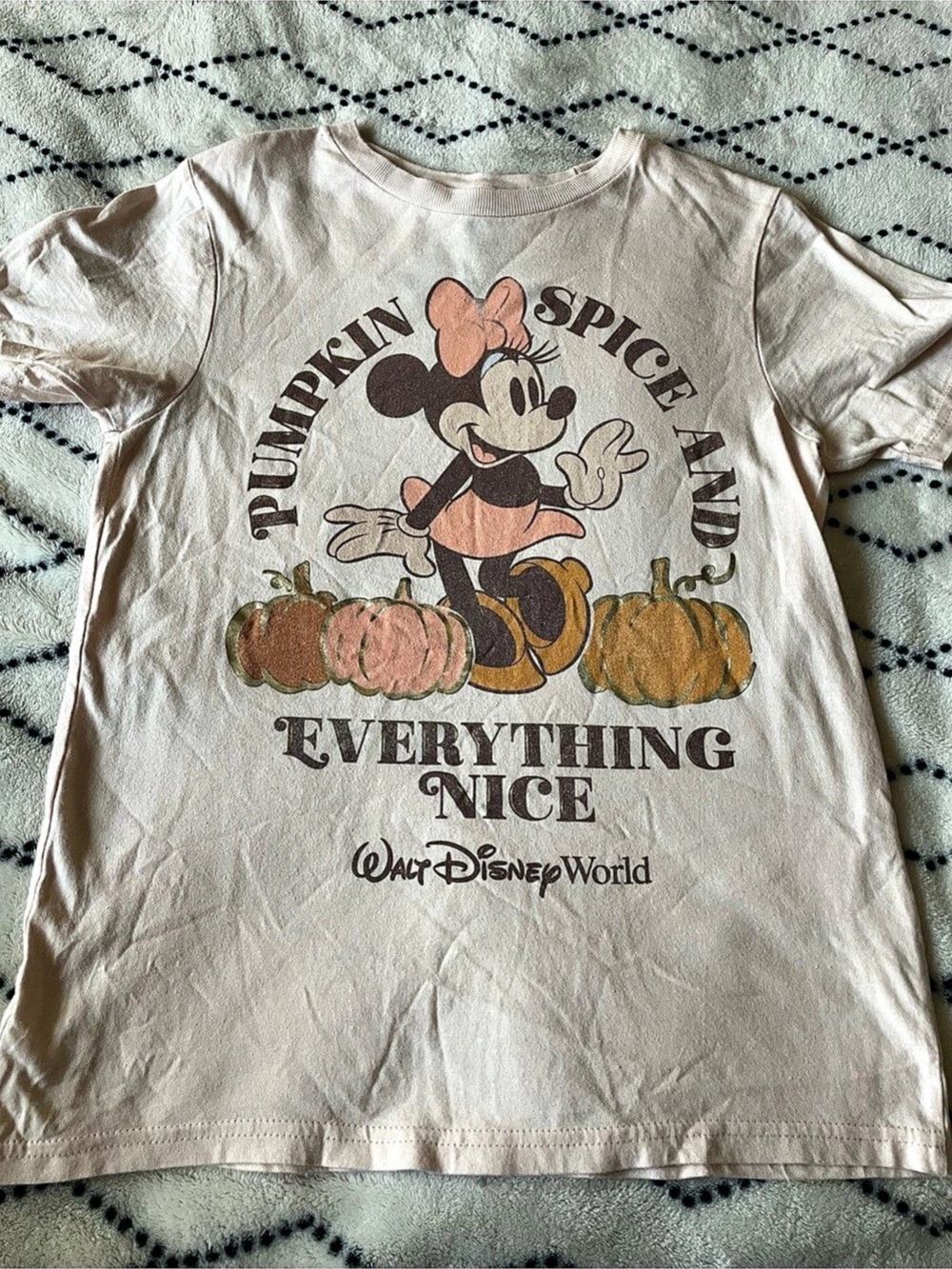 Disney Minnie Mouse Spice and Everything Nice Fall T-Shirt in Pink